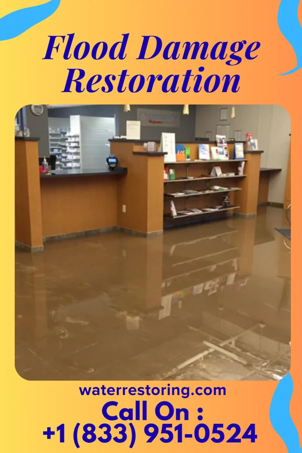 Flood Damage Restoration in Ward, SD