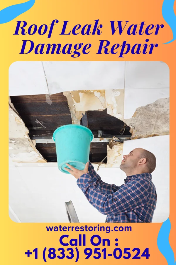 Roof Leak Water Damage Repair in Ward, SD