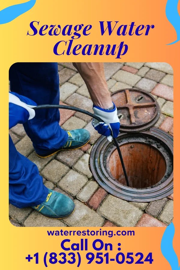 Sewage Water Cleanup in Ward, SD