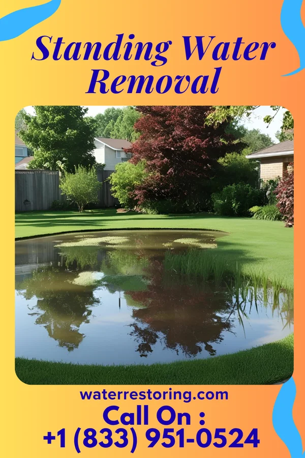 Standing Water Removal in Ward, SD